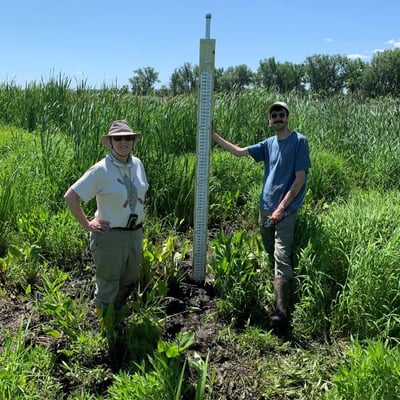 Artist Lindsay Olson and Harry Kuttner working in the wetlands