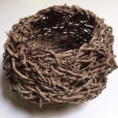 Cathy Inman basketry art - Student Success Story