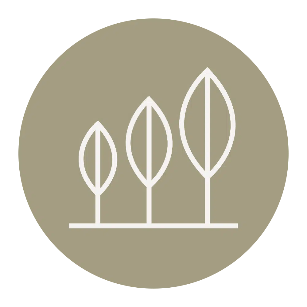 learn-at-your-own-pace-icon