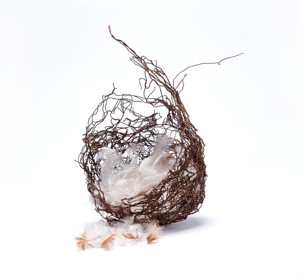 3_new_beginnings_jody_graham-copy-1024x945