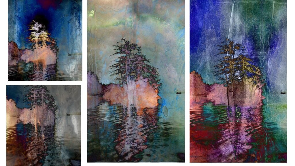 Copy-of-8-coromonts-perch-edited-photos-1024x576