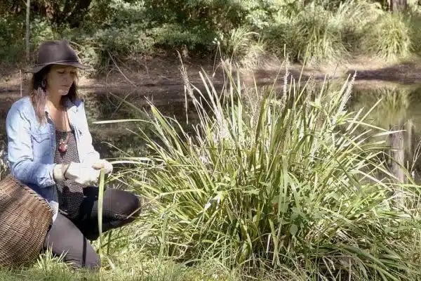 Harvesting_Harriet_Goodall_Fibre_Arts_Take_Two_Meet_Your_Tutor-600x400.jpg
