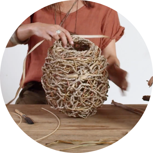 Goodall Module three: Pods, nests, and cocoons