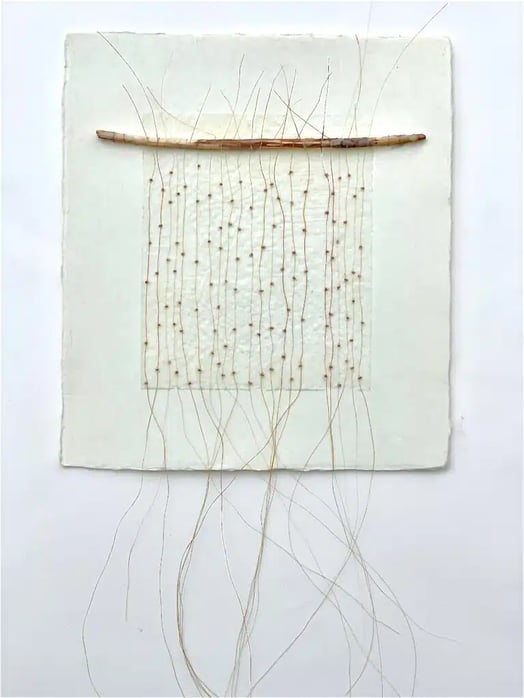 Ava Roth: In Collaboration With Bees