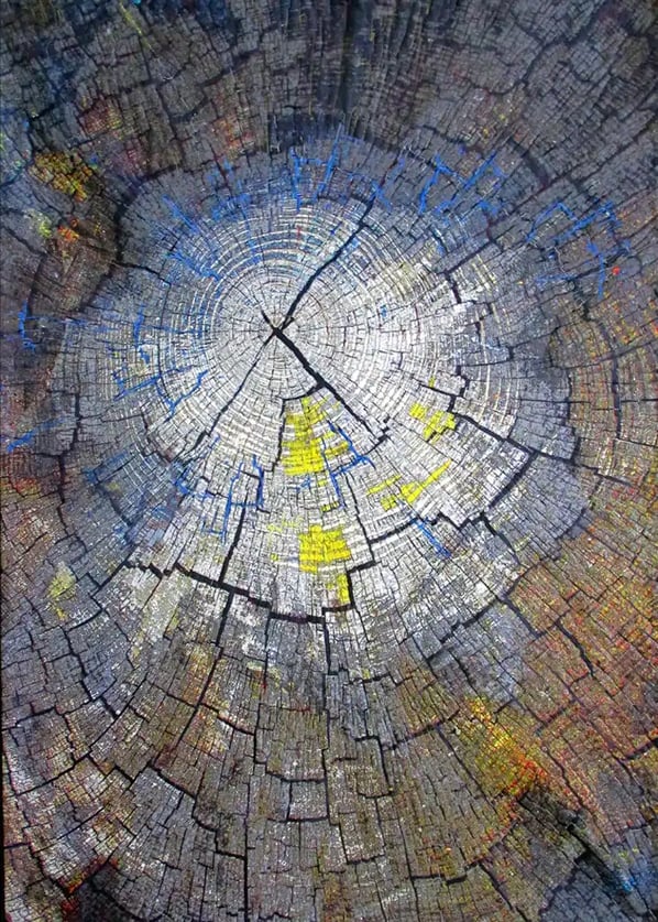 Art meets science with Julie Ryder