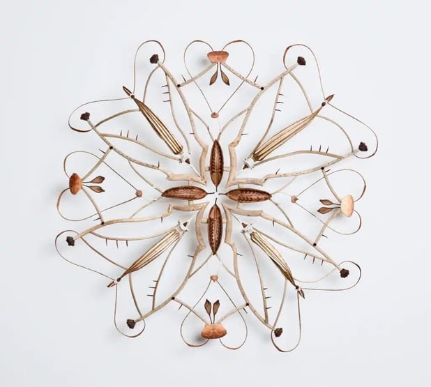 Offering no 7 - Shona Wilson