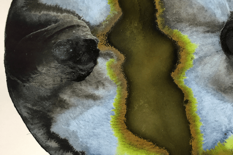 Jason-Logan-use-this-tile-approved-1024x683