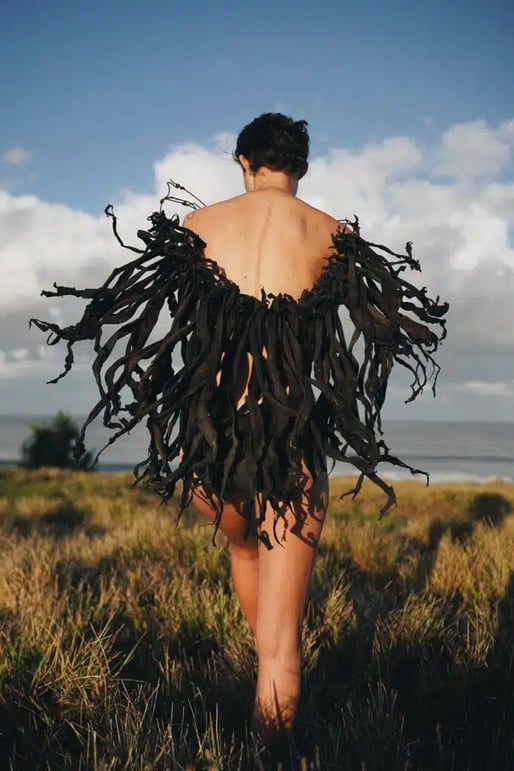 Zimmi Forest: The Art World, Foraging and Ethics