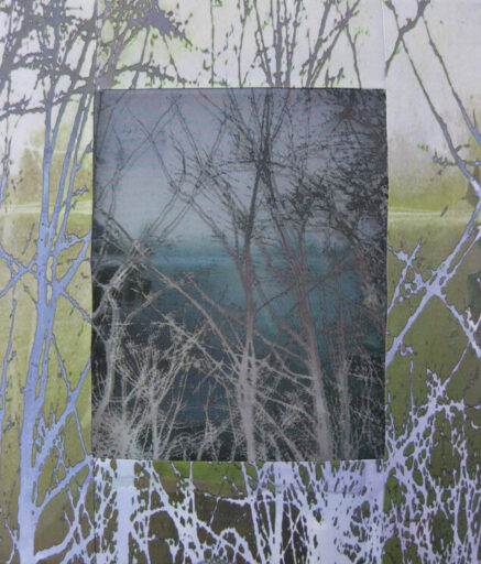 Wen Redmond holographic fibre Wen Redmond holographic fibre