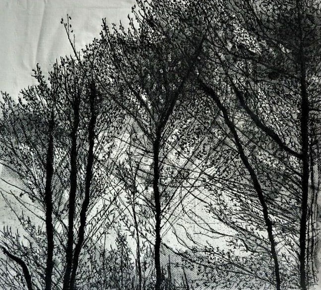 Patricia Kelly