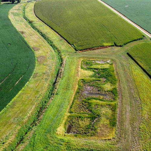 Smart wetland aerial shot