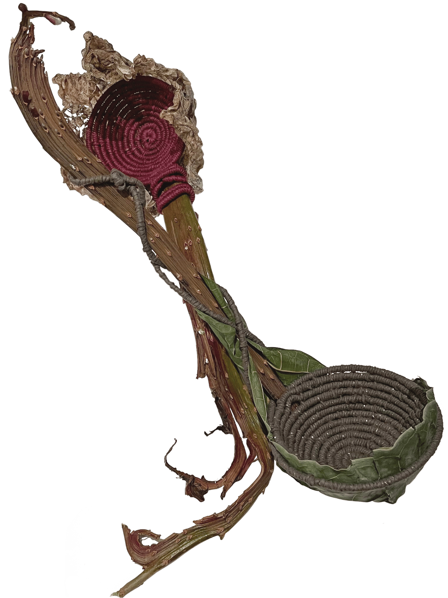 Cathy Wells_spoon