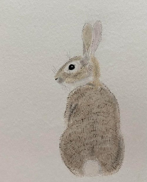 Watercolour by Suzanne Martin - Student Success Story