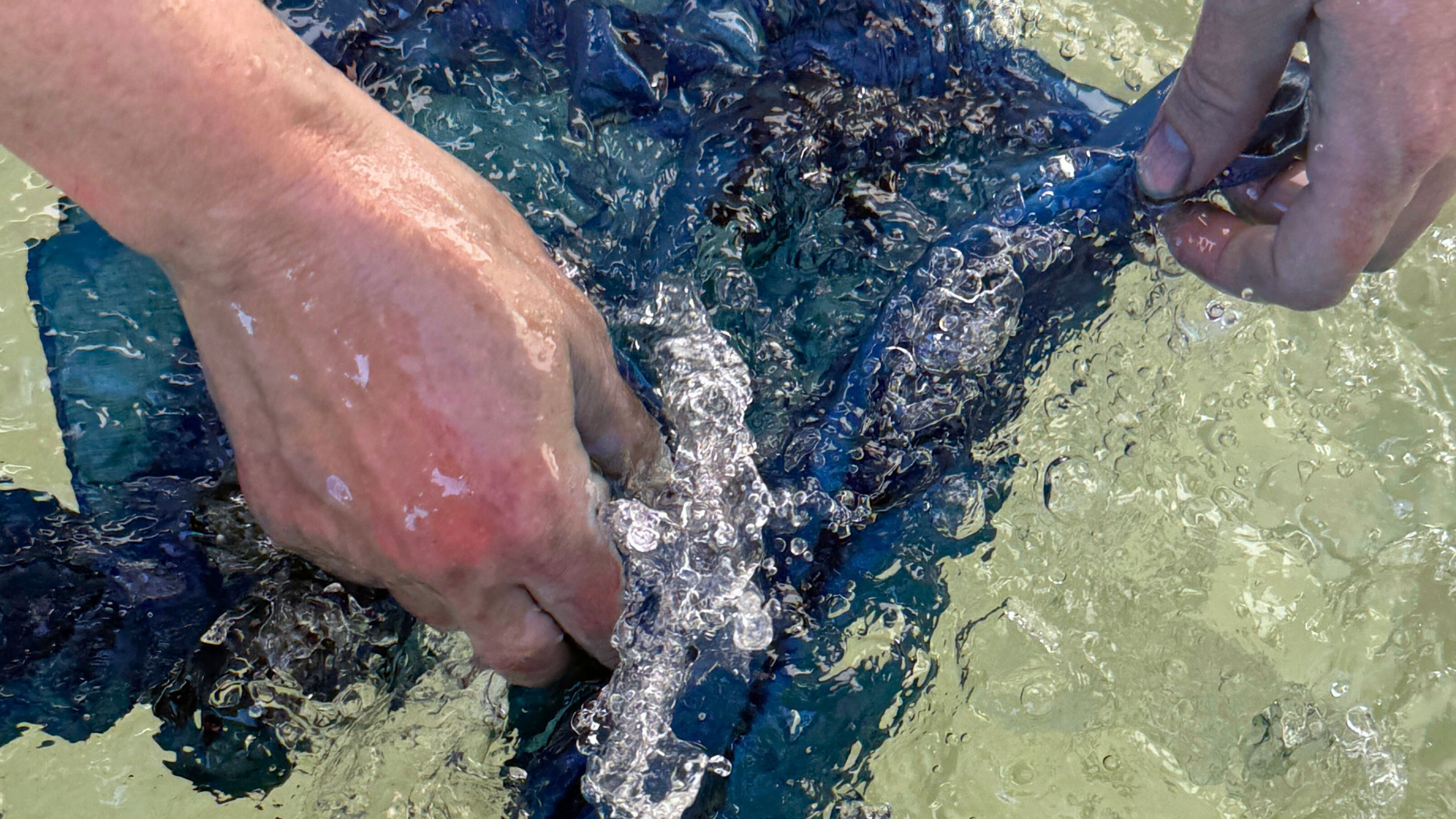 A Day in Indigo: Traditional Japanese Dyeing at AIWAYU, Gifu