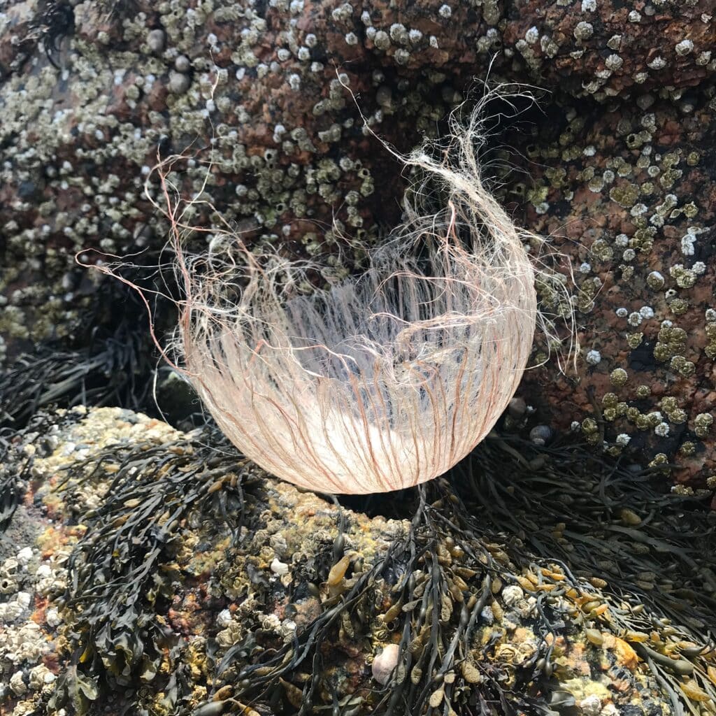 Jeannet Leendertse: Seaweed Baskets