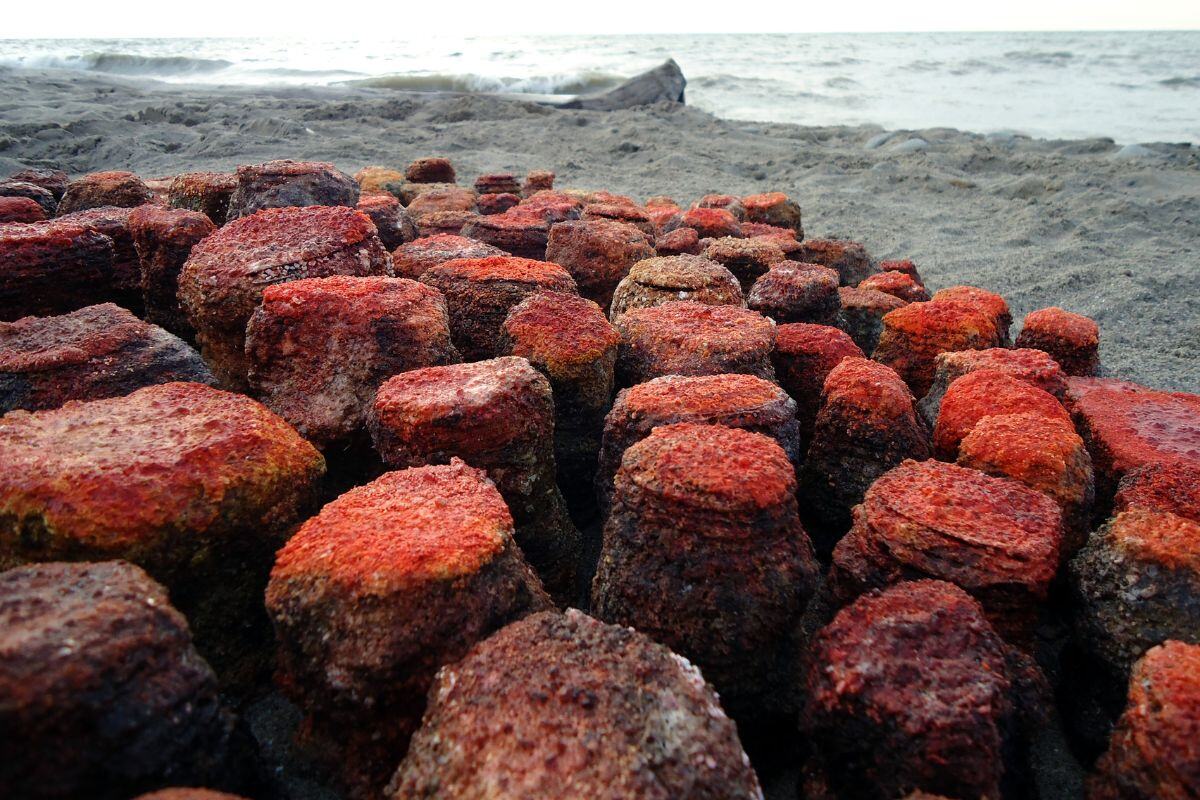 Jonah Jacobs: The Structure of Nature