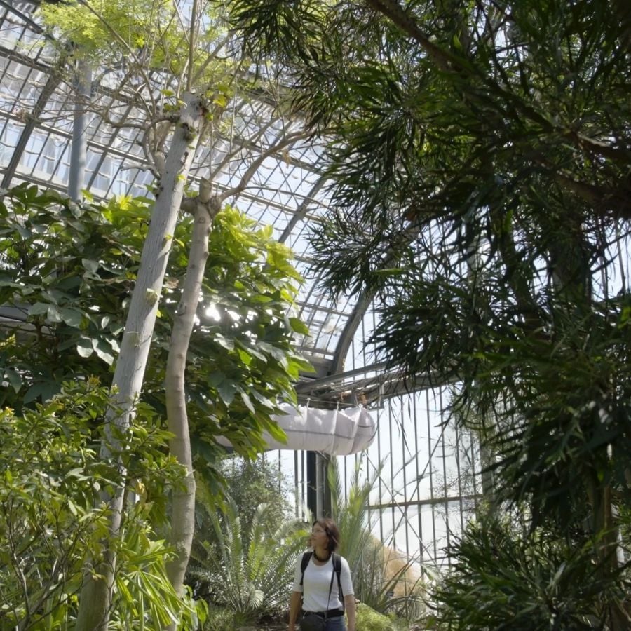 Tina marais walking through gardens Tina marais walking through gardens